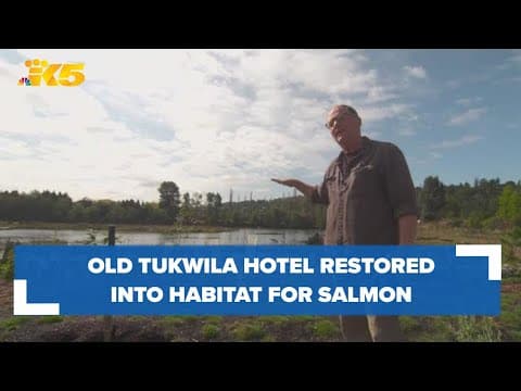 Old Tukwila hotel restored into habitat for juvenile salmon