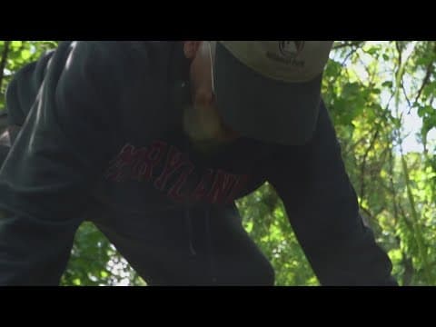 Forgotten black cemetery being restored after years ignored