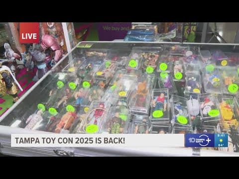 Relive childhood memories and nostalgia at Tampa Toy Con 2025