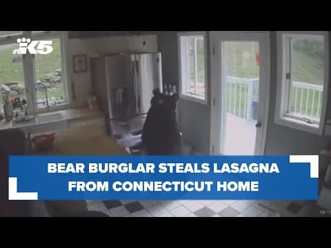 Black bear breaks into home, steals lasagna