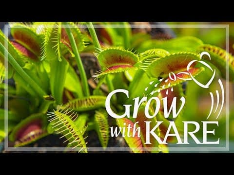 Grow with KARE: High-maintenance houseplants