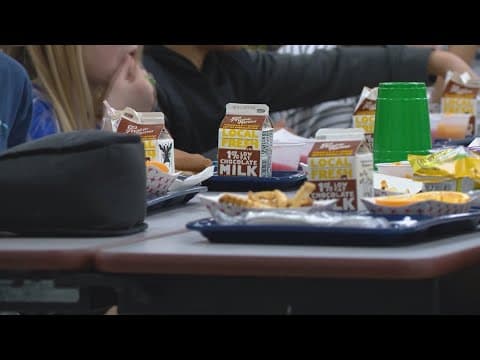 Childhood obesity on the rise in Indiana, according to latest report | Parent Squad