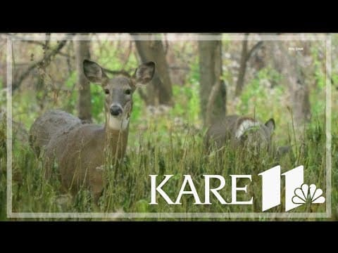 DNR launches new online tool where hunters can log their hunts and help track the state's deer