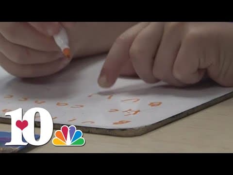 Back to Basics: How kids learn to read in Tennessee