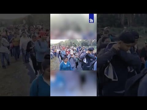 'We've reached the breaking point' | Mayors plead for help as migrants surge into U.S. cities