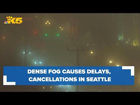 Dense fog blankets Seattle, causes delays and cancellations
