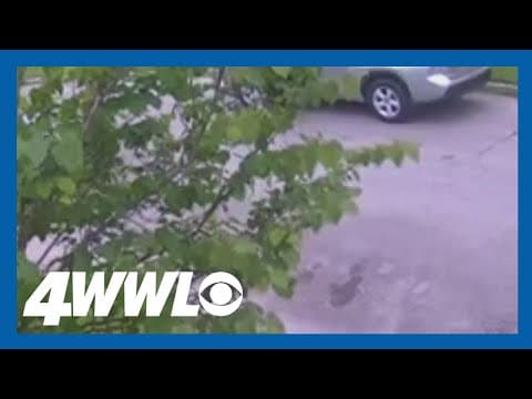 New car owner turns off and locks car for Easter lunch. 30 minutes later it was gone