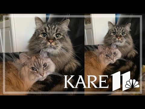 Your Good News: Jon, Lake, Dave