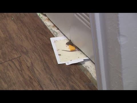 Residents at Sunnyside-area apartments hopeful as inspections spark overdue changes