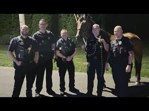 Horse leads police on wild chase in northern Indiana... again