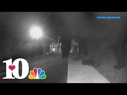 Bear runs off with stolen pumpkin in South Knoxville