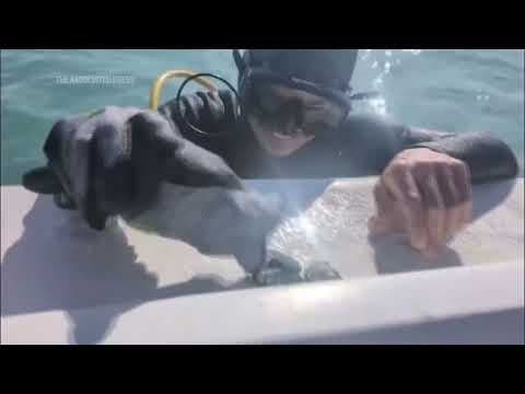 UNDERSEA TREASURE | Crew finds $1 million in treasure from 1700s shipwrecks