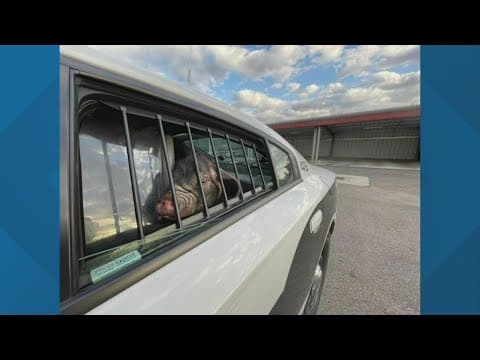 Pataskala police reunite lost pig with owner