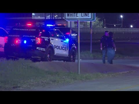 HPD: Man gets out of rideshare after fight with driver, gets hit and killed on I-45 feeder