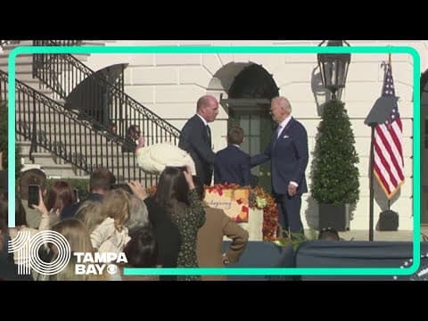 President Biden begins final White House holiday season with turkey pardons for 'Peach' and 'Blossom