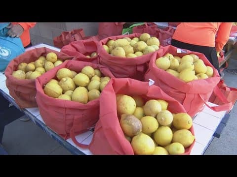 Rescuing discarded food to give to those in need