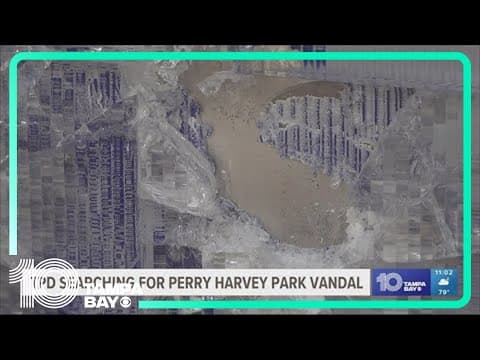 Tampa community reacts to park honoring Black community vandalized