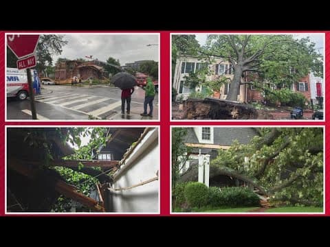 Trees fall on houses, in roads in DC, Arlington during severe storms