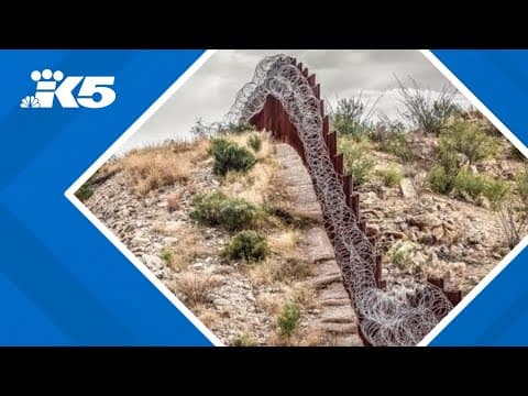 Trump signs executive order declaring national emergency at southern border