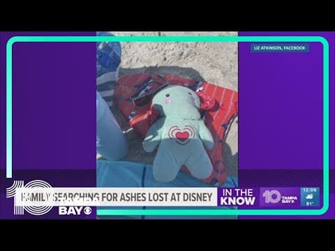Mom desperate to find stuffed elephant with late son's ashes