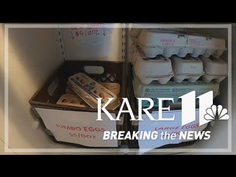 The rising cost of eggs