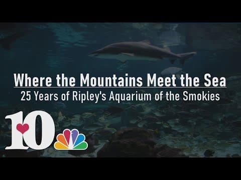 Where the Mountains Meet the Sea - 25 Years of Ripley's Aquarium of the Smokies