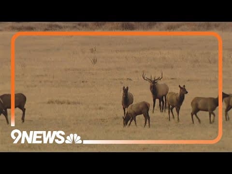 Mental health expert explains why getting outside is good for you