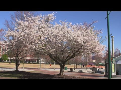 How to manage seasonal fall allergies