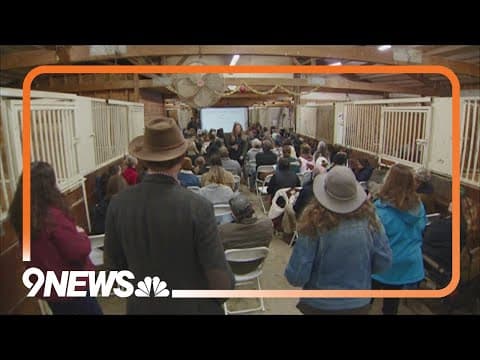 Equestrians in Arvada call for changes after horse's death