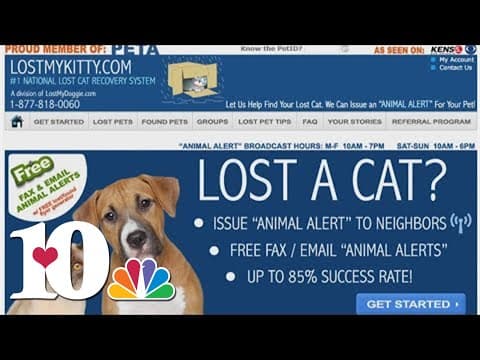 YWAC's "Pet Detective"