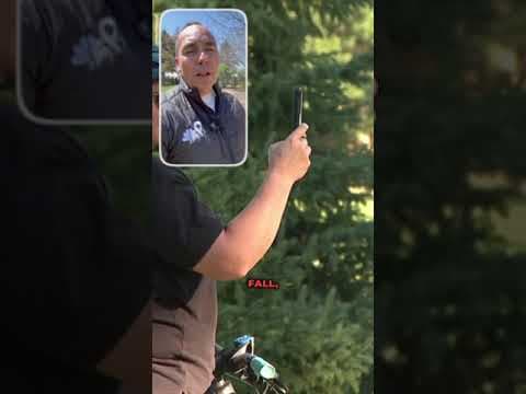 Wild Turkey at 9NEWS