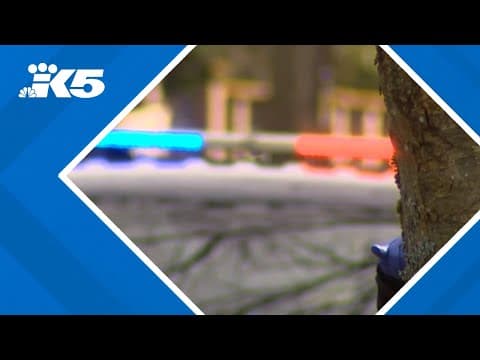 Teen in 'critical condition' after shooting in West Seattle park