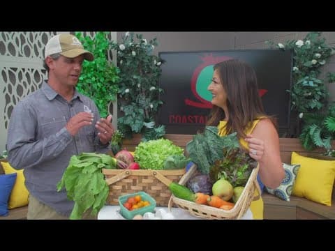 Coastal Roots Farm's Film and Music Series Lineup