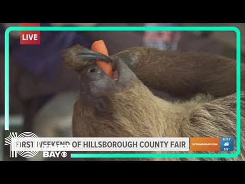 Hillsborough County Fair kicks off in Dover