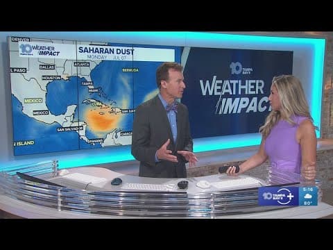 10 Tampa Bay Weather: Monday, July 7, 2025