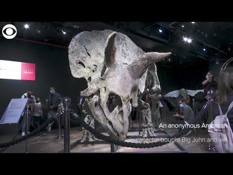 Dinosaur skeleton sells for nearly 8 million dollars at auction