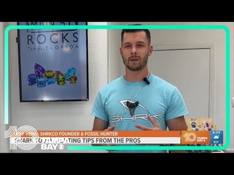 Expert gives tips for finding shark teeth on the beach