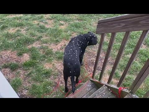 Snow falls in central Ohio on Sunday