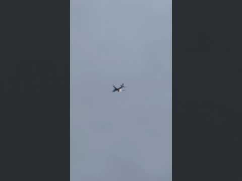 United Airlines Plane Diverts After Possible Wildlife Strike