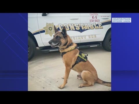 Harris County Pct. 1 constable K9 retires