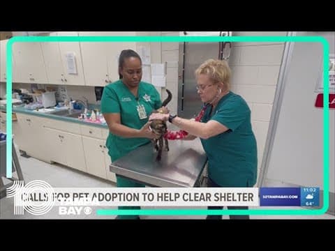 Calls to clear the shelter grow after 300 animals found in Polk Co. teacher's mobile home