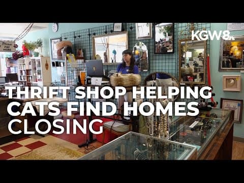 Cat Adoption Team prepares to close Portland thrift store