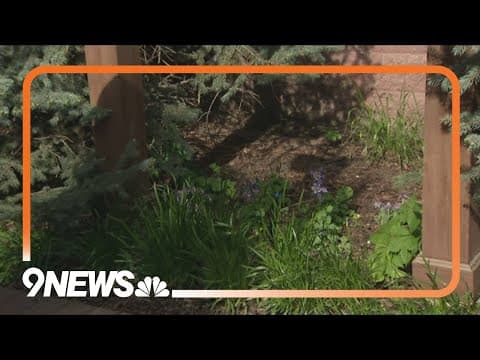 What does a sustainable landscape look like in Colorado?