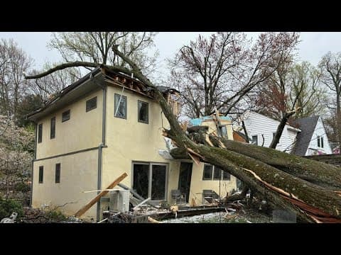 Who pays when a neighbor's tree hits your house?