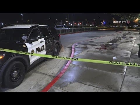 Stabbing at Chula Vista trolley station seriously hurts homeless man