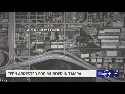 17-year-old charged with murder after body found in vacant Tampa lot