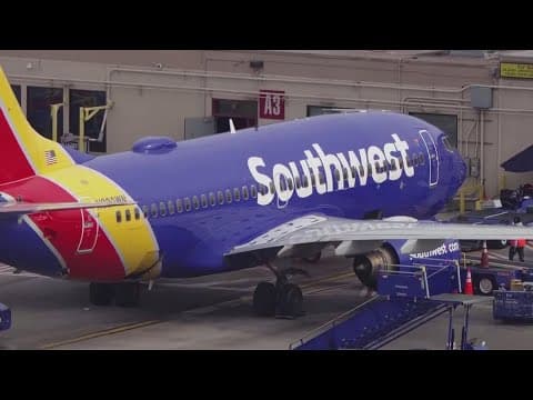 Bird strike forces Southwest Airlines flight to return to TPA shortly after departure