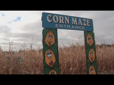 Dry fall weather has corn maze owner looking back on successful year
