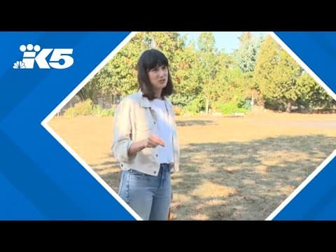 Rep. Marie Gluesenkamp Perez suggests Biden should resign and drop out of presidential race