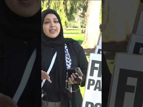 Israeli and Palestinian supporters demonstrated as battles continued, death toll grows